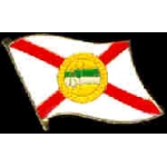 FLORIDA PIN STATE FLAG PIN